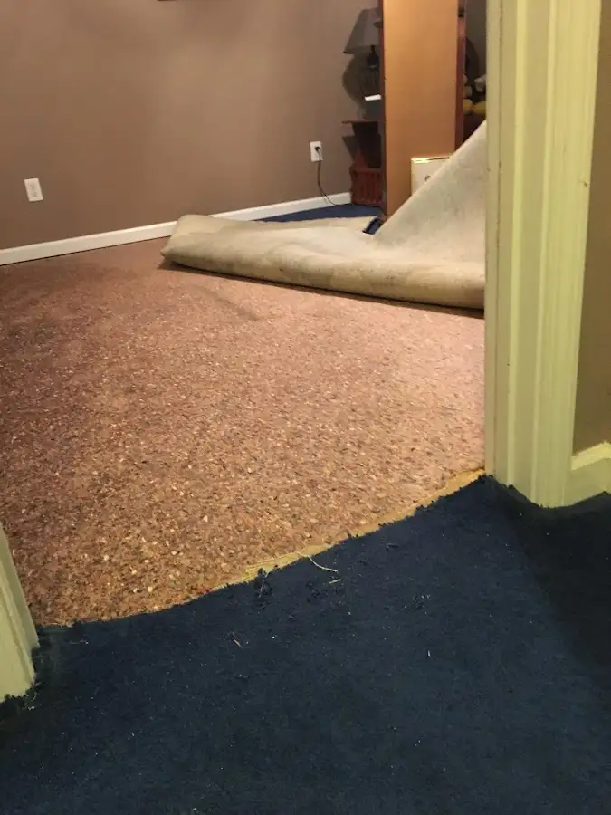 Carpet pad removal revealing water damage during Water Mitigation Services in Zephyrhills South