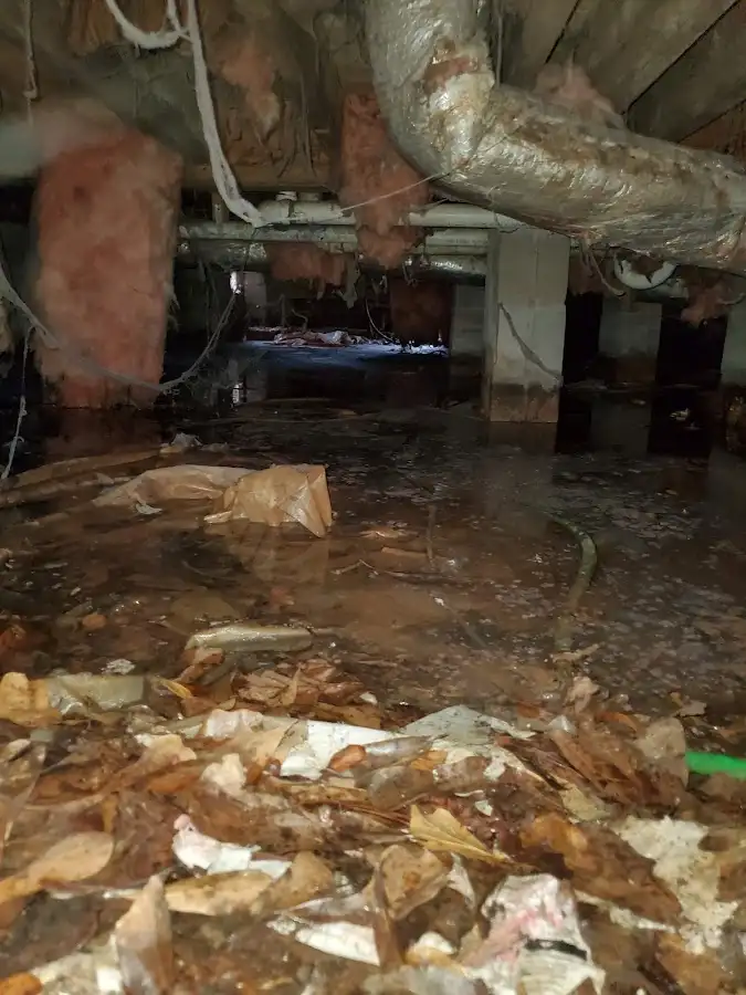 Crawl space flood assessment for Leak Detection & Repair in Zephyrhills South
