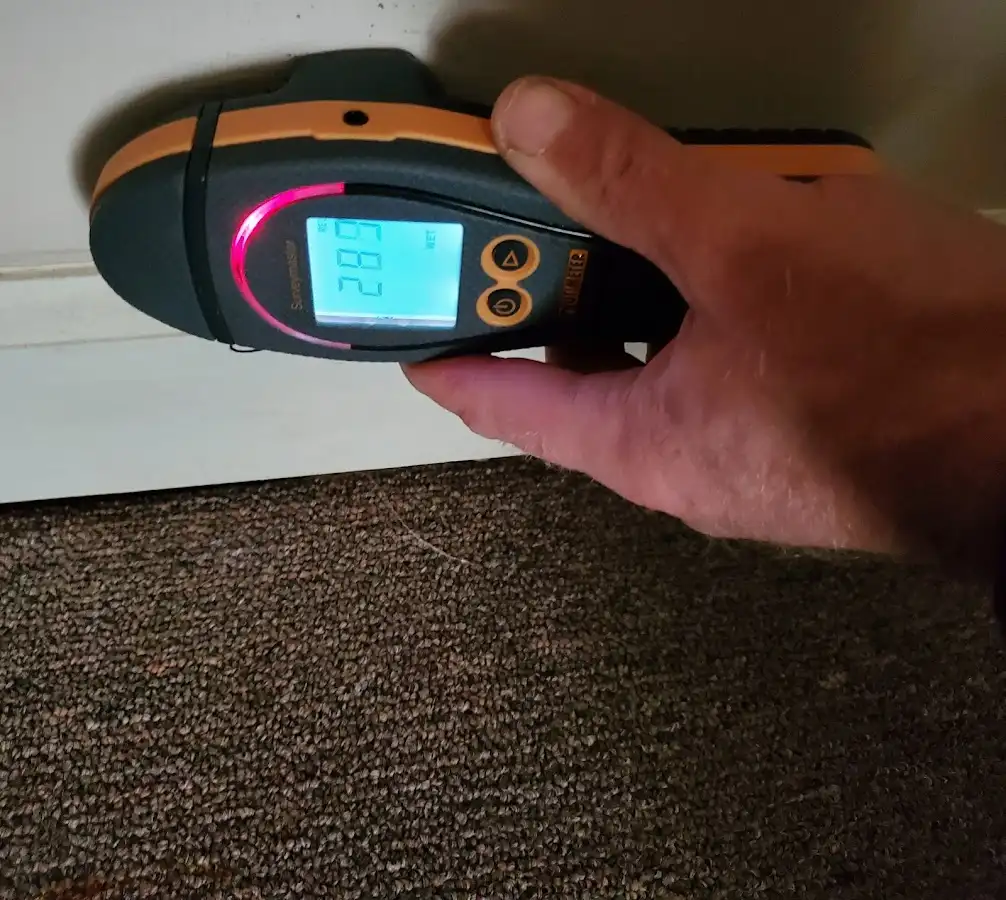 Moisture detection at baseboard during Mold Inspection & Testing in Zephyrhills South