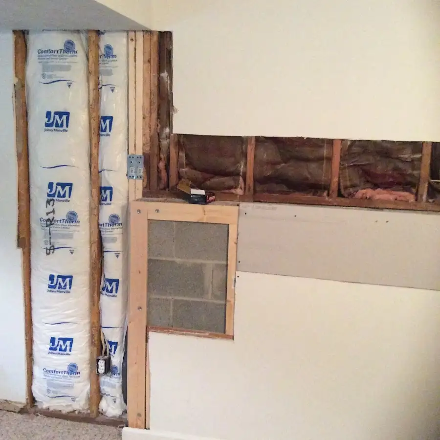 Wall insulation replacement during Odor Removal & Deodorization in Zephyrhills South